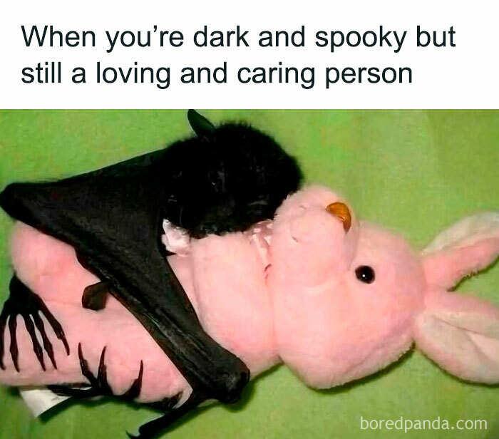 Funny meme showing a black bat hugging a pink stuffed bunny, representing caring despite a dark and spooky vibe.