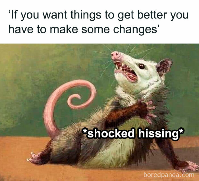 Opossum reacting with shocked hissing, funny meme about change and therapy, relatable humor for mental health awareness.