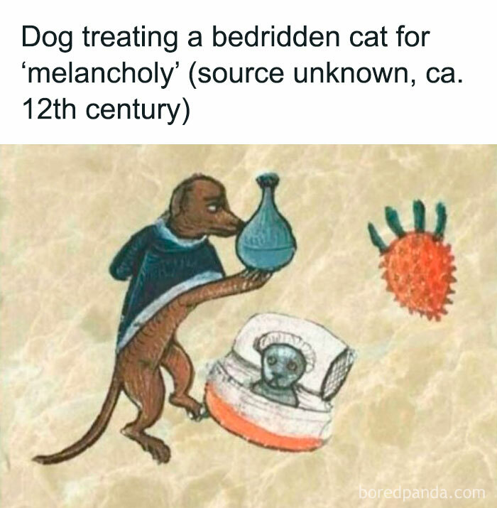 Medieval-style illustration of a dog treating a cat for melancholy, a funny meme about therapy being expensive.