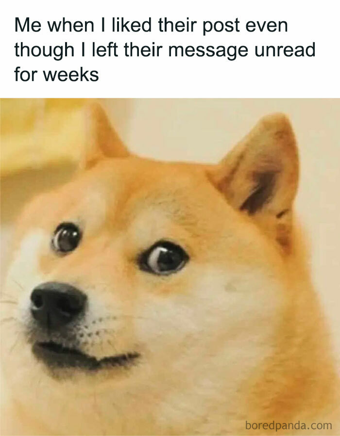 Shiba Inu dog meme expressing introvert awkwardness after liking a post but leaving the message unread for weeks.