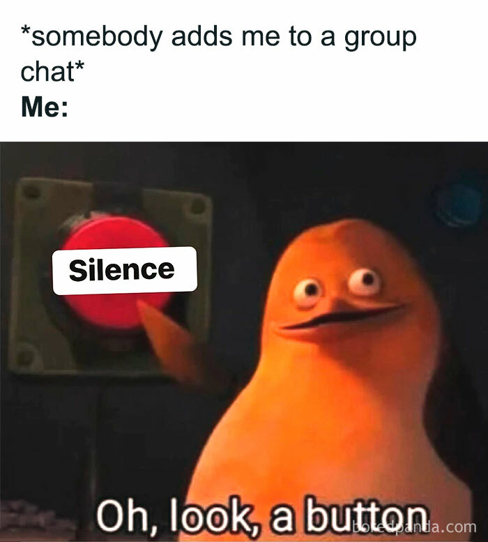 Memes about introverts pressing a silence button when added to a group chat, humorously summarizing everyday introvert life.