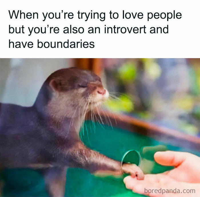 Otter with paw touching a human hand through glass, illustrating introvert life boundaries in a relatable meme.