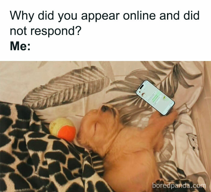 Sleeping puppy holding phone in bed with meme text about not responding online, showing introvert everyday life humor.