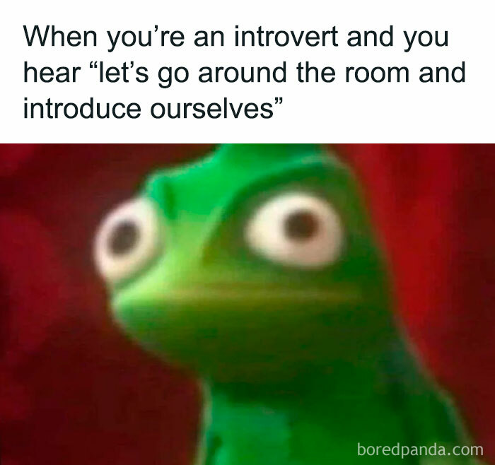 Introvert meme showing a wide-eyed frog reacting to group introductions, capturing everyday life as an introvert humorously.