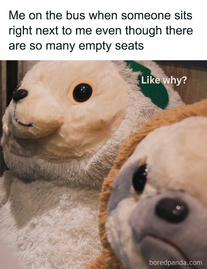 Plush animals representing introvert feelings when someone sits too close on a bus, capturing everyday life as an introvert.