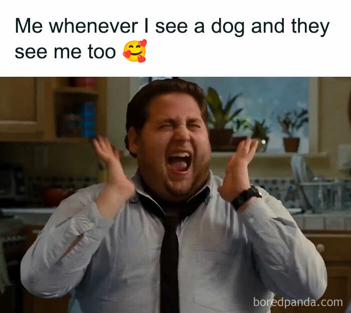 Man excitedly reacting with hands near face in kitchen, illustrating an introvert's joy meeting a dog in everyday life.