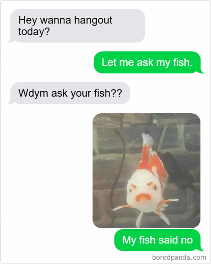 Text message conversation showing introvert meme with a fish refusing to hang out, illustrating everyday life as an introvert.