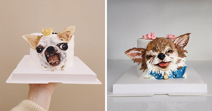Artist Turns Pets Into Playful Cakes — And Here Are Their 80 Sweetest Creations