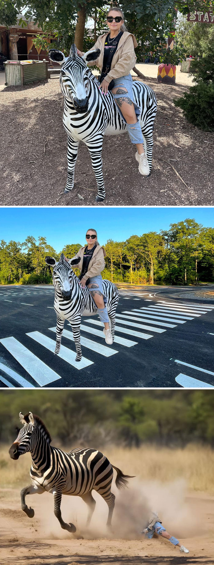 Photoshopped images of a woman on a zebra with humorous edits blending real and edited photos.