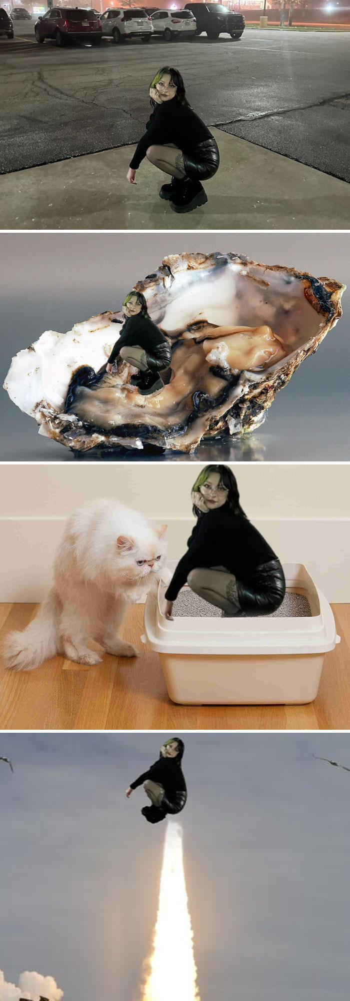 Various hilarious photoshopped images of a woman in creative and humorous edited scenarios by strangers.