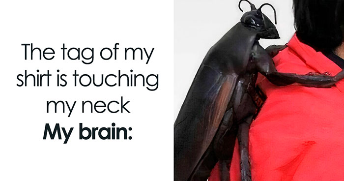 50 Hilarious Memes That Might Make You Snort-laugh In Public (New Pics)