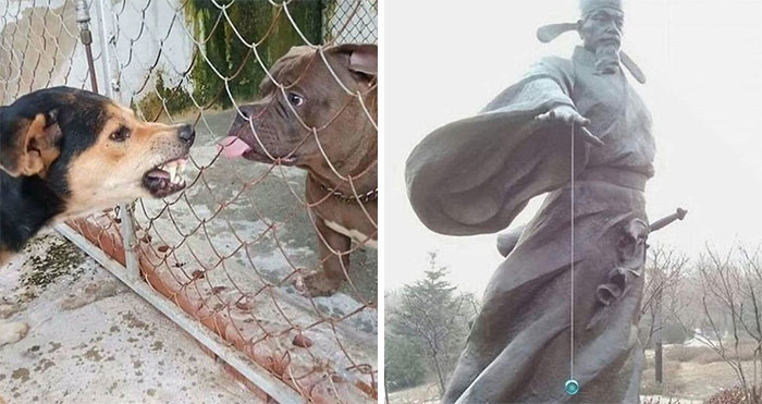 50 Unexpectedly Funny Pics That Prove The Internet Is A Strange Place