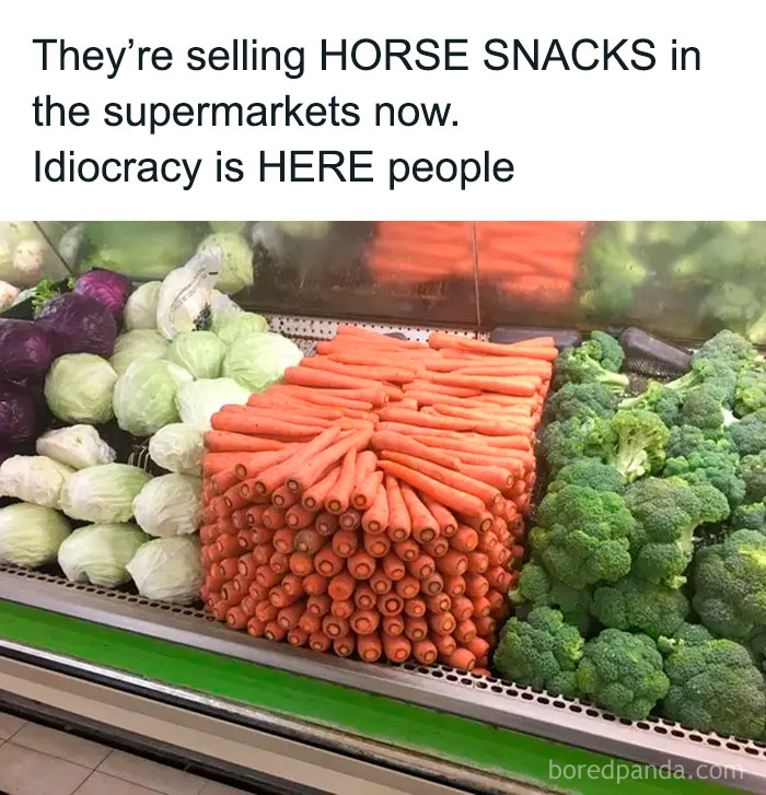 Carrots stacked like horse snacks in a supermarket produce section, making people go hmmm and share the sight.