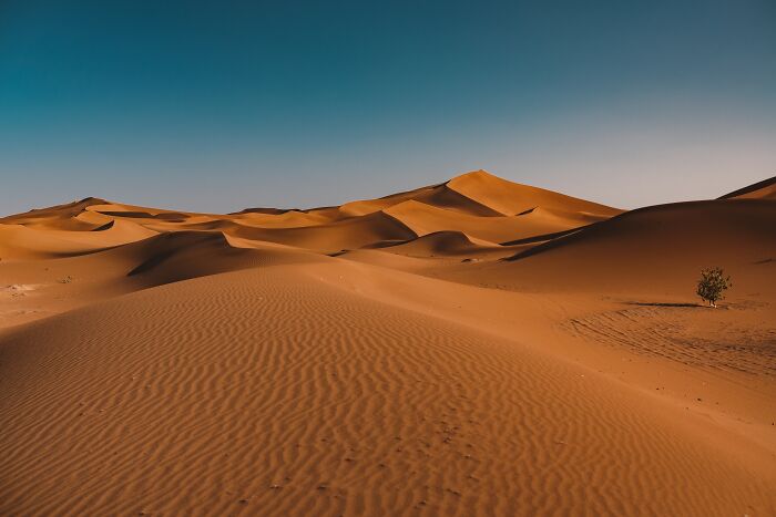 Vast desert dunes under clear sky, symbolizing the nose-diving abilities of younger generations discussed by teachers.