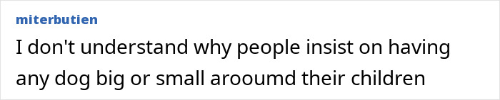 Comment criticizing dog owners for risking their children&rsquo;s safety by allowing dogs near them while walking outdoors.