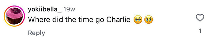 Comment on Instagram post saying where did the time go with crying emojis about a beloved child star from Good Luck Charlie at 16.