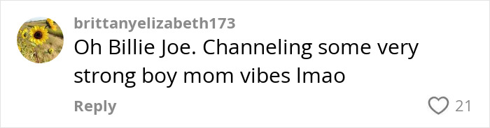 Comment on social media showing support for Green Day&rsquo;s Billie Joe Armstrong during a live show confrontation.