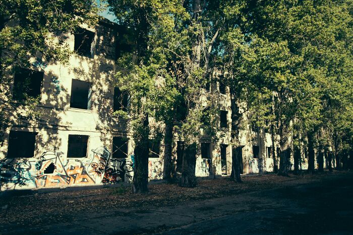 Abandoned explorers encounter creepy graffiti-covered building surrounded by tall trees during eerie urban escape adventure.
