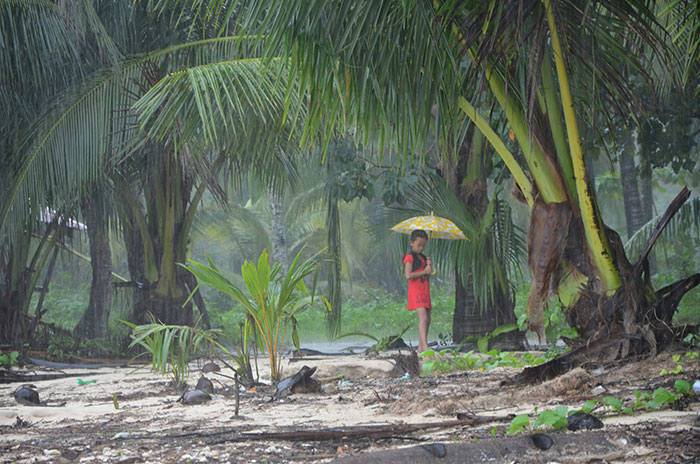 Child holding umbrella standing on tropical beach surrounded by palm trees during rainy weather in tropical place.