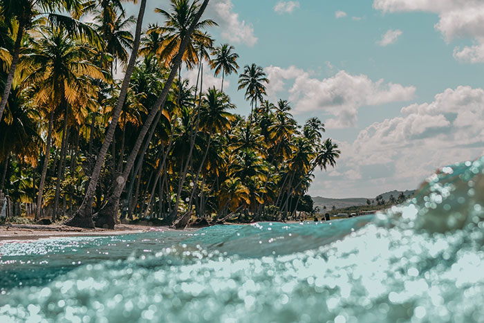 People From Tropical Countries Share The Reality Of Living There, Here Are The 40 Best Posts