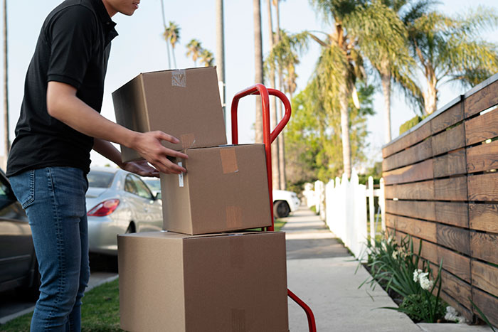 Person unloading cardboard boxes on a hand truck in a sunny tropical neighborhood with palm trees and parked cars.