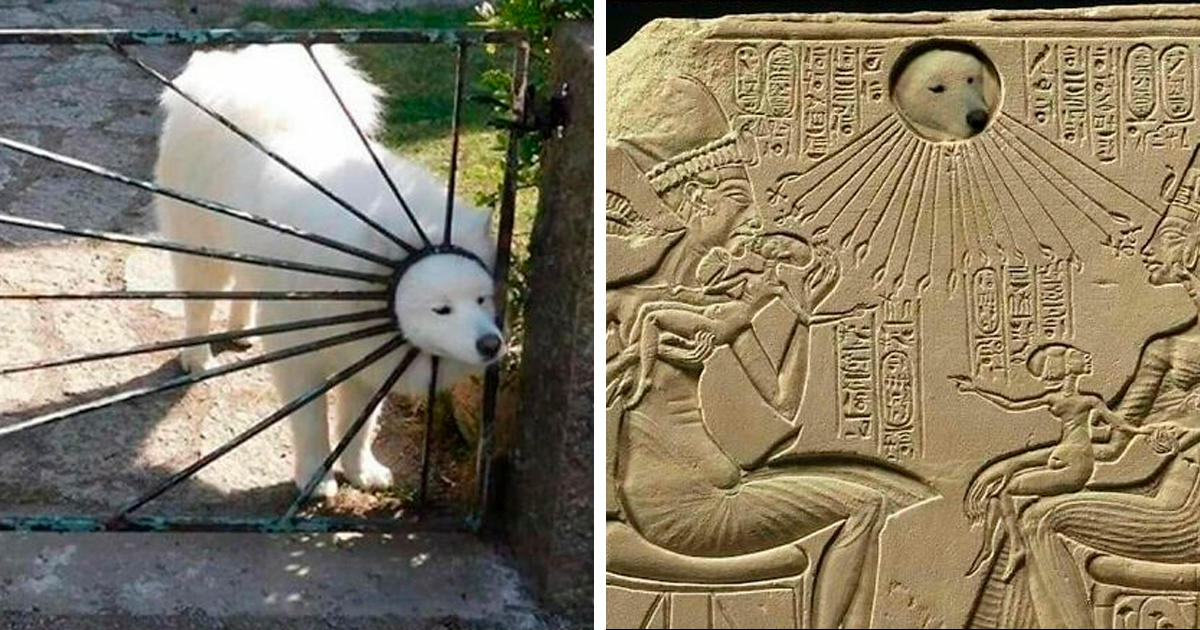 20 Divertidos memes que explican la historia de forma muy distinta a los libros