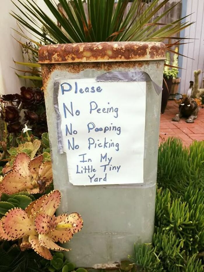 Rusty metal post with a handwritten sign warning no peeing, pooping, or picking in the yard, adding chaos with hilarious signs.