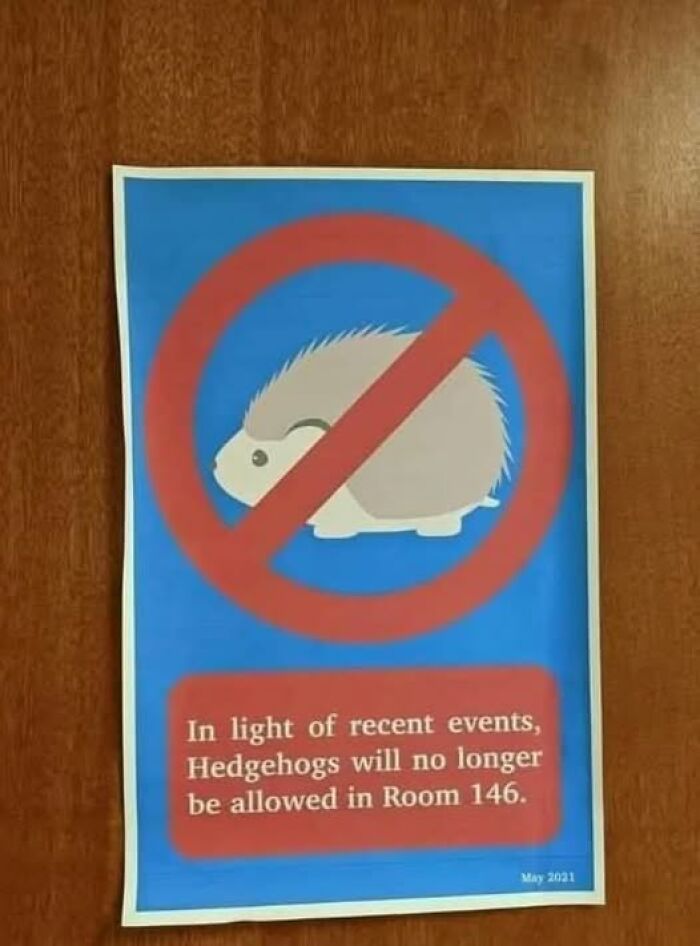 No hedgehogs allowed sign on a door, humorously adding chaos with a warning about recent events in a room.