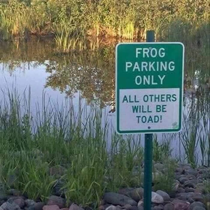 Funny sign near a pond humorously designating frog parking only, adding chaos with a toad warning included.