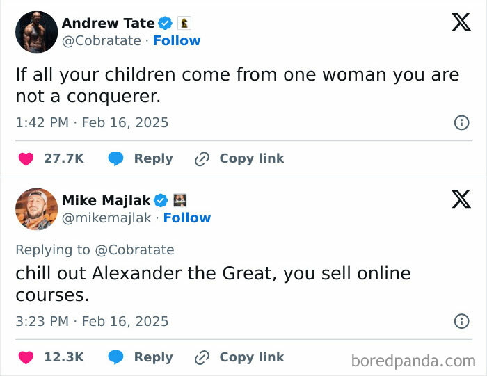 Screenshot of an epic burn on social media with witty replies showcasing clever insults and epic burns.