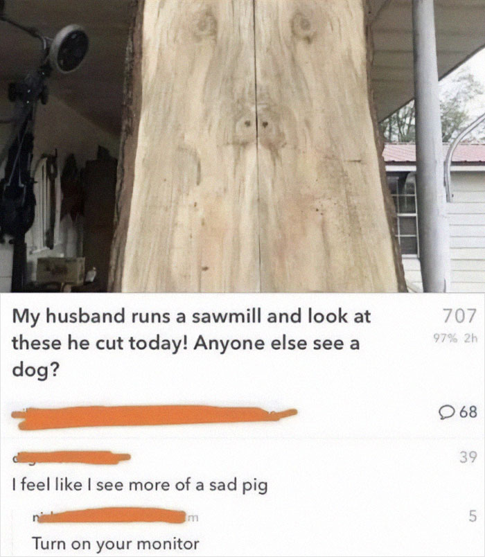 Humorous online comment thread with epic burns about a sawmill wood cut resembling a dog or a sad pig.