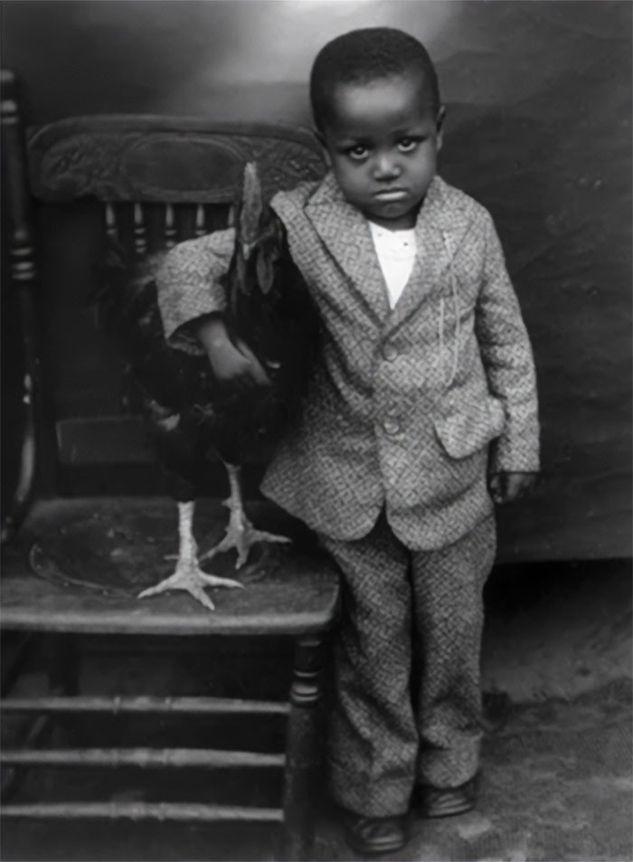 Young boy in a suit holding a large rooster beside a wooden chair in a fascinating historical photo.
