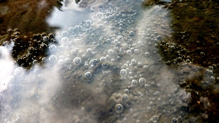 Close-up of bubbles forming on a wet surface, illustrating local dangers that are a normal part of life for some people.