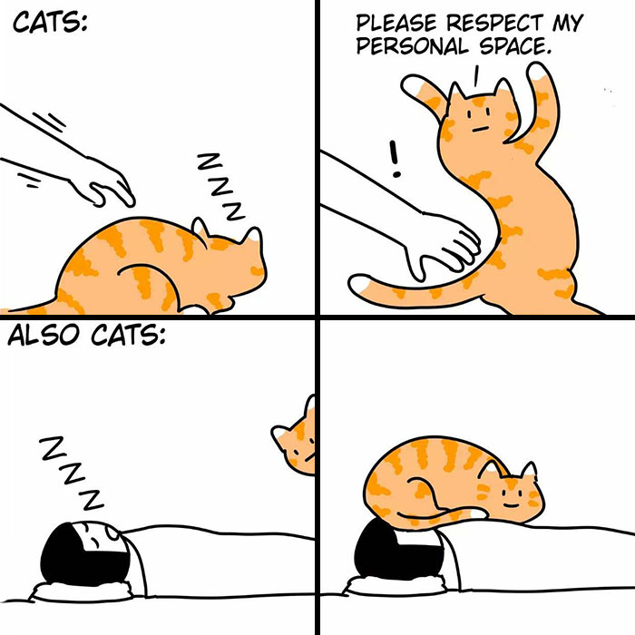 Hilariously Relatable Comics With Absurd Twists, By This Artist (19 New Pics)