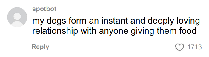 Woman Called Heartless For Refusing To Give Her Golden Retriever To A Random Family Woman Called Heartless For Refusing To Give Her Golden Retriever To A Random Family