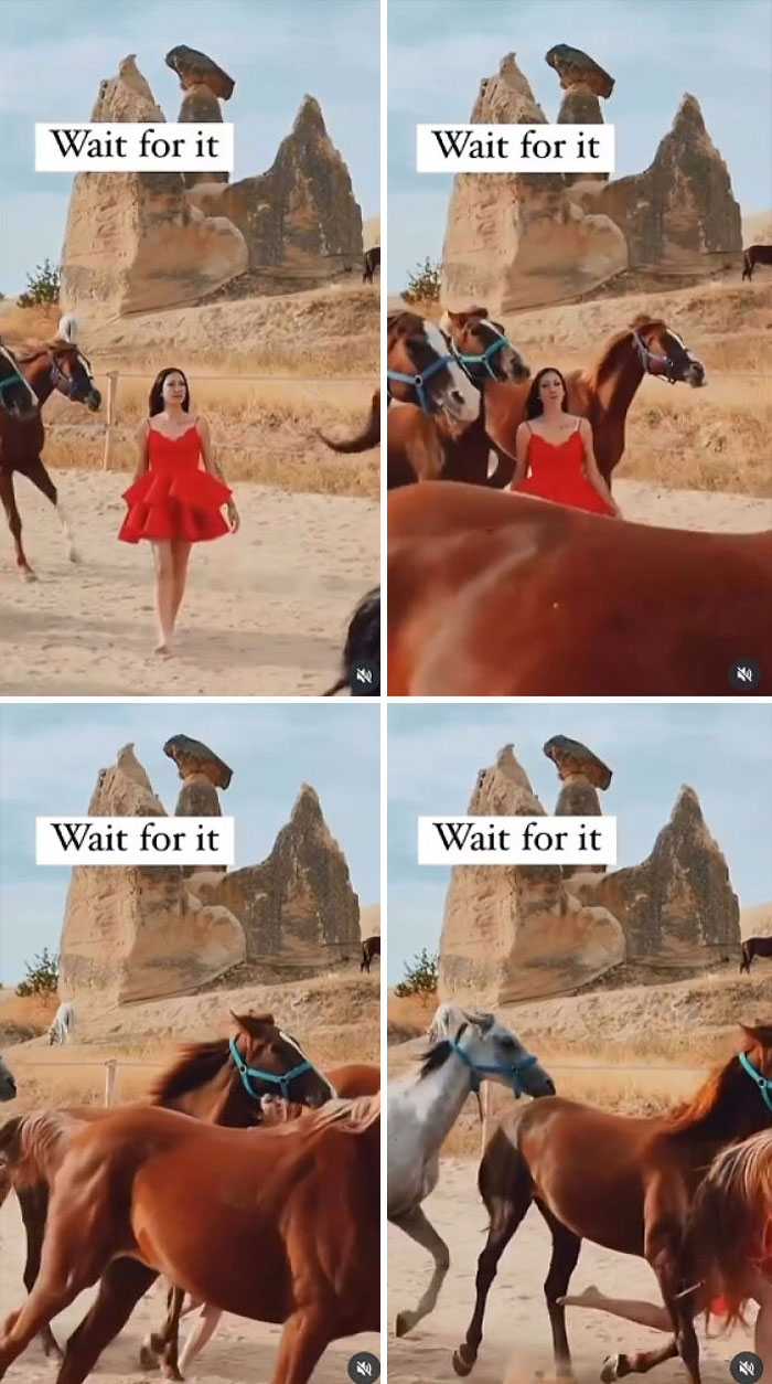 Unhinged influencer in red dress surrounded by horses in a rocky desert setting, capturing chaotic moments for views.