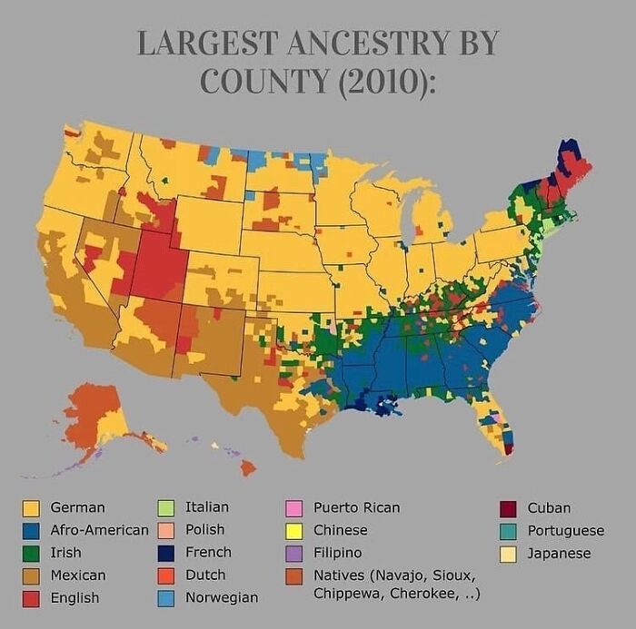 Map showing largest ancestry by county in the US with various ethnic groups using color-coded charts and graphs.