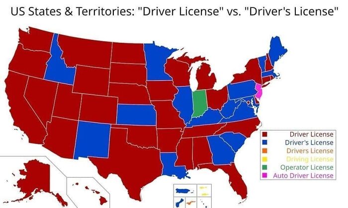 US map showing differences in driver license terminology across states using clear colors in an interesting information chart.