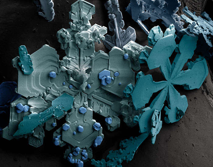 Close-up microscopic image of intricate crystalline structures revealing a cool microscopic perspective of ordinary things.