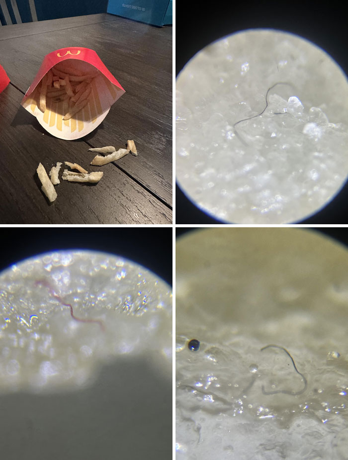 Close-up microscopic images revealing unusual details of ordinary objects like fast food fries and tiny fibers on a surface.