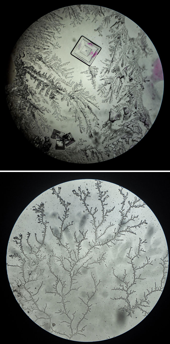 Microscopic images showing intricate crystal formations and branching patterns with a unique, detailed perspective.