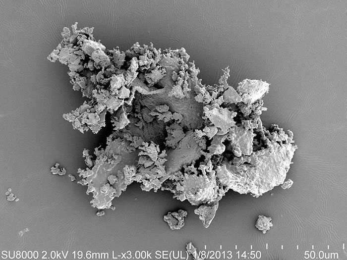 Microscopic image showing detailed texture of a common particle under 3000x magnification with cool microscopic perspective.
