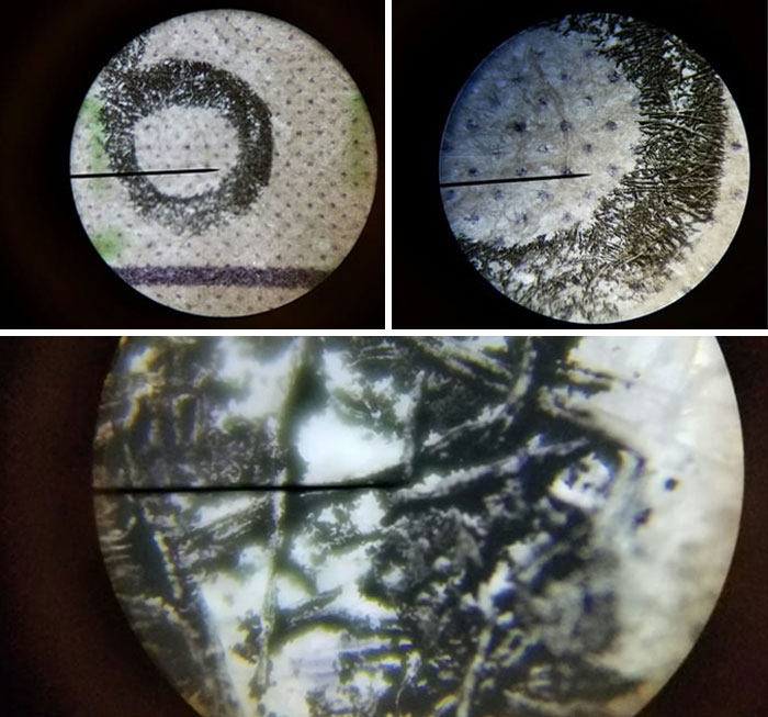 Microscopic images revealing intricate details and textures of everyday objects at a cool, close-up perspective.