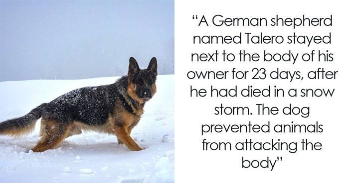 50 “Mind-Blowing Facts” That Are Better Than Watching The News (New Pics)