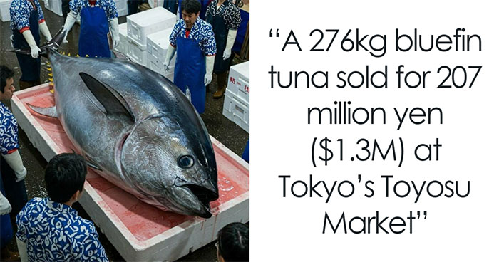 “Random Stuff I Think Is Interesting”: 50 Fascinating Images And Facts From This Instagram Page