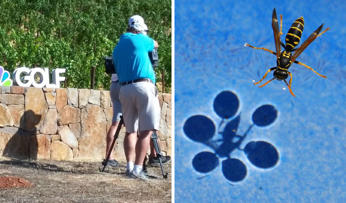 50 Times People Spotted Shadows That Were Too Surprising To Not Take A Picture Of