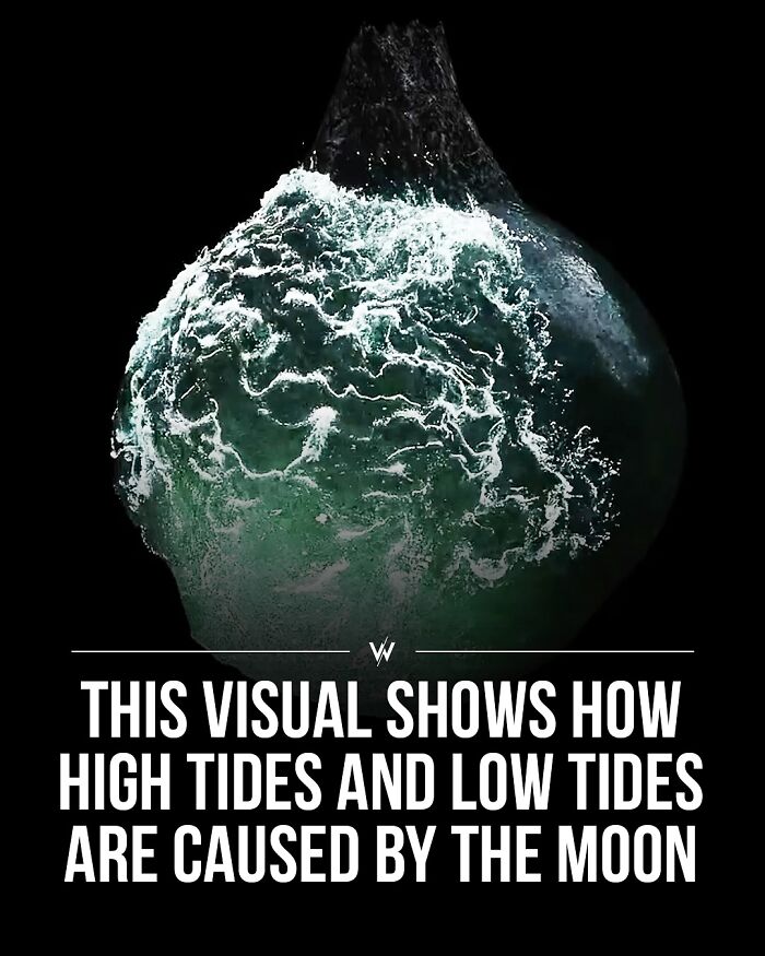 Visual representation of high tides and low tides illustrating interesting short stories about natural phenomena.
