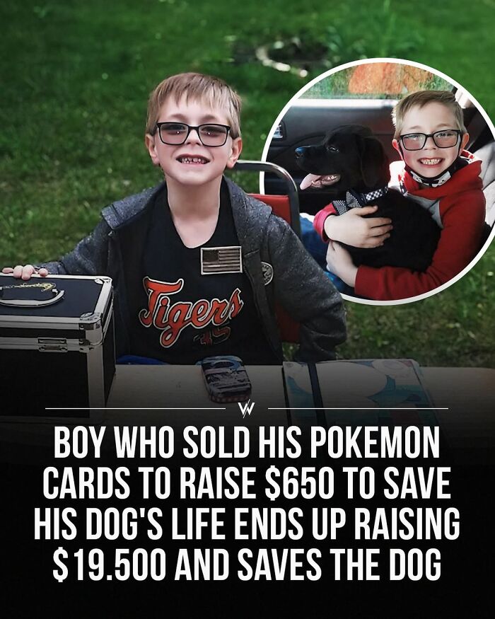 Boy smiling outside with glasses, featured in an inspiring story about interesting short stories and good deeds.