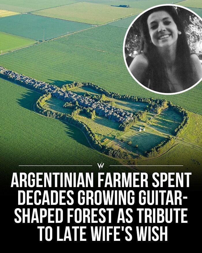 Aerial view of a guitar-shaped forest grown by an Argentinian farmer, illustrating one of the best interesting short stories.