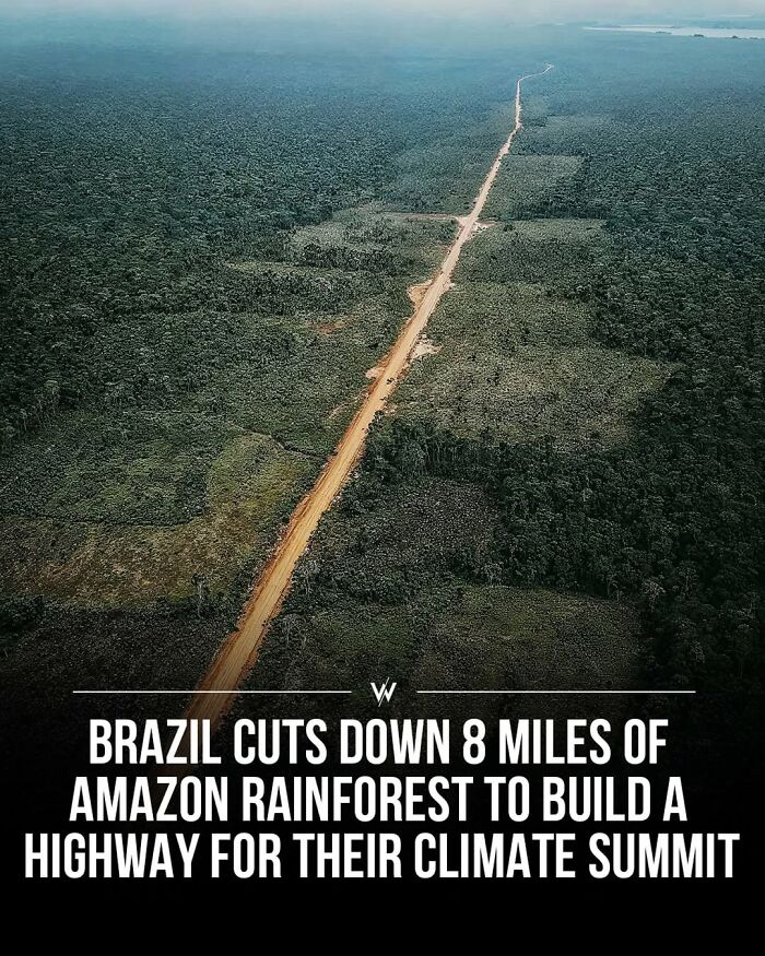 Aerial view of Amazon rainforest cleared to build a highway, illustrating environmental impact in short stories about nature.